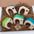 Load image into Gallery viewer, Cool Color Village - set of 5