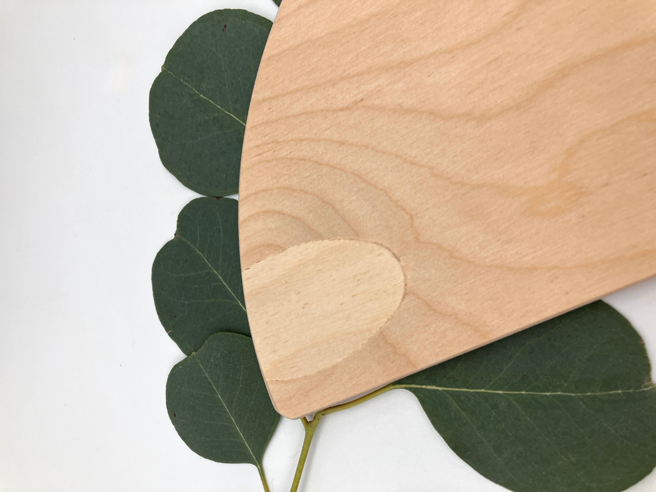 10 piece Wooden Semicircle Blocks - Natural